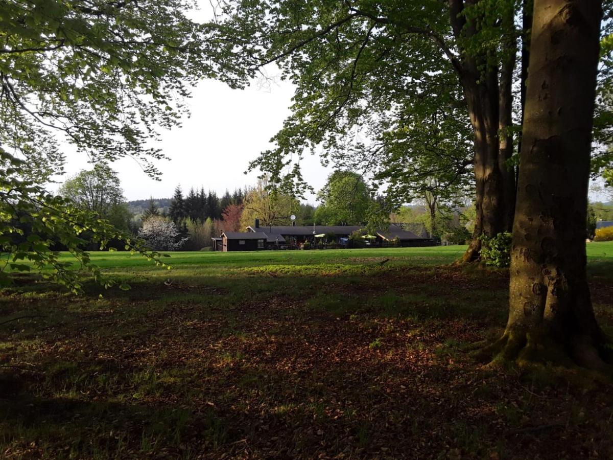 Apartment Am Buchenhain Presseck Bagian luar foto